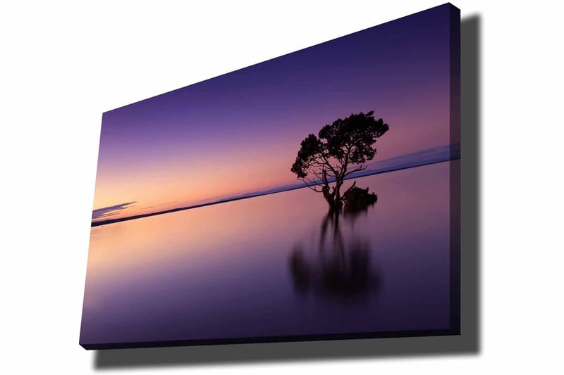 Lerretsbilde 70x100 cm - Ensom tretopp speilet i en stille innsjø under en fargerik himmel i skumringen, Lilla / Oransje / Svart