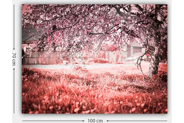 Lerretsbilde 70x100 cm - Et blomstrende kirsebærtre i romantiske og drømmeaktige omgivelser - Rosa / Grå - Interiør - Maleri & posters - Lerretsbilder