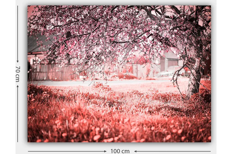 Lerretsbilde 70x100 cm - Et blomstrende kirsebærtre i romantiske og drømmeaktige omgivelser - Rosa / Grå - Interiør - Maleri & posters - Lerretsbilder