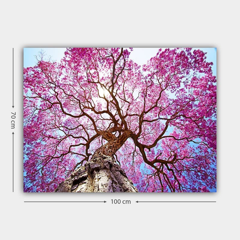 Lerretsbilde 70x100 cm - Et majestetisk kirsebærtre med blomstrende rosa blomster som strekker seg mot en klar blå himmel - Rosa / Brun / Blå - Interiør - Maleri & posters - Lerretsbilder