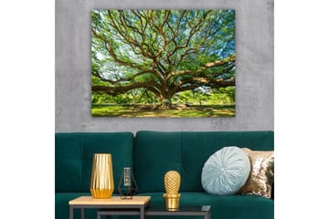 Lerretsbilde 70x100 cm - Et stort og majestetisk tre med spredte grener og frodig grøntområde - Grønn / Brun - Interiør - Maleri & posters - Lerretsbilder