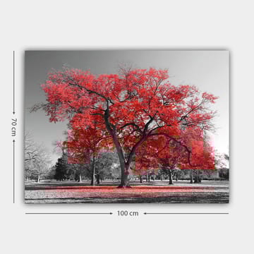 Lerretsbilde 70x100 cm - Et stort rødt tre i et svart-hvitt parklandskap - Rød / Svart - Interiør - Maleri & posters - Lerretsbilder