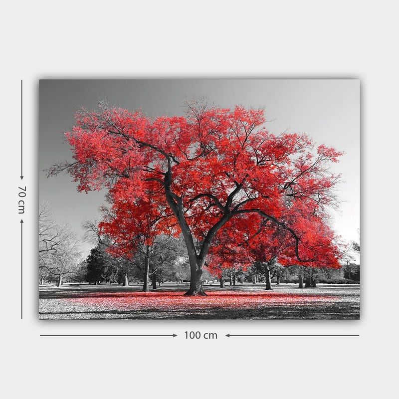 Lerretsbilde 70x100 cm - Et stort rødt tre i et svart-hvitt parklandskap - Rød / Svart - Interiør - Maleri & posters - Lerretsbilder