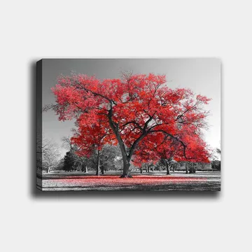 Lerretsbilde 70x100 cm - Et stort rødt tre i et svart-hvitt parklandskap - Rød / Svart - Interiør - Maleri & posters - Lerretsbilder
