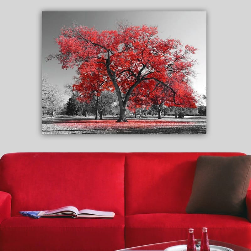 Lerretsbilde 70x100 cm - Et stort rødt tre i et svart-hvitt parklandskap - Rød / Svart - Interiør - Maleri & posters - Lerretsbilder
