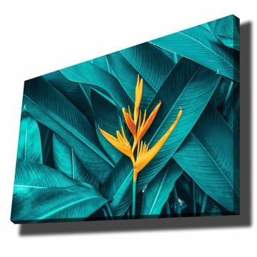 Lerretsbilde 70x100 cm - Fargerik blomst omgitt av store, grønne blader - Turkis / Gul - Interiør - Maleri & posters - Lerretsbilder