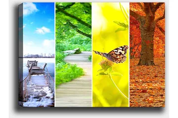 Lerretsbilde 70x100 cm - Fargerik firedelt maleri som viser forskjellige årstider med naturmotiver - Blå / Grønn / Oransje - Interiør - Maleri & posters - Lerretsbilder