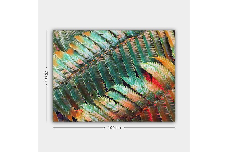 Lerretsbilde 70x100 cm - Fargerik komposisjon av bregner med varierende nyanser av grønt og oransje - Grønn / Oransje - Interiør - Maleri & posters - Lerretsbilder