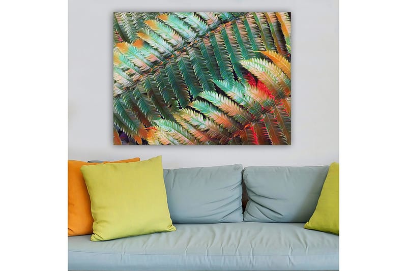 Lerretsbilde 70x100 cm - Fargerik komposisjon av bregner med varierende nyanser av grønt og oransje - Grønn / Oransje - Interiør - Maleri & posters - Lerretsbilder