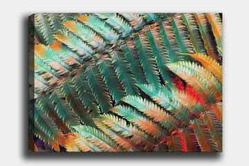 Lerretsbilde 70x100 cm - Fargerik komposisjon av bregner med varierende nyanser av grønt og oransje - Grønn / Oransje - Interiør - Maleri & posters - Lerretsbilder