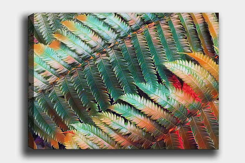 Lerretsbilde 70x100 cm - Fargerik komposisjon av bregner med varierende nyanser av grønt og oransje, Grønn / Oransje