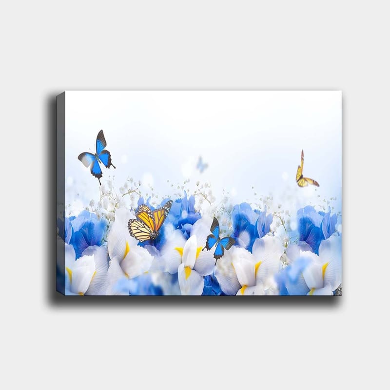 Lerretsbilde 70x100 cm - Fargerik komposisjon av sommerfugler som svever over hvite og blå blomster, Blå / Hvit / Gul