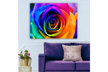 Lerretsbilde 70x100 cm - Fargerik rose med spiraler i regnbuens farger - Blå / Lilla / Oransje - Interiør - Maleri & posters - Lerretsbilder
