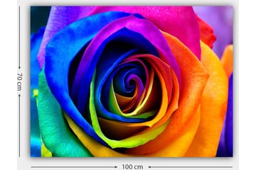 Lerretsbilde 70x100 cm - Fargerik rose med spiraler i regnbuens farger - Blå / Lilla / Oransje - Interiør - Maleri & posters - Lerretsbilder