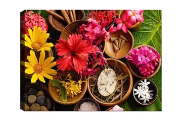 Lerretsbilde 70x100 cm - Fargerik samling av blomster og naturelementer i skåler - Rød / Gul / Rosa - Interiør - Maleri & posters - Lerretsbilder