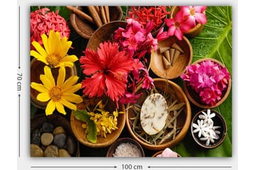 Lerretsbilde 70x100 cm - Fargerik samling av blomster og naturelementer i skåler - Rød / Gul / Rosa - Interiør - Maleri & posters - Lerretsbilder