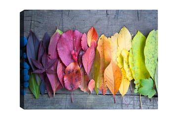 Lerretsbilde 70x100 cm - Fargerik samling av høstblader i forskjellige nyanser som viser naturens skjønnhet - Rød / Gul / Grønn - Interiør - Maleri & posters - Lerretsbilder