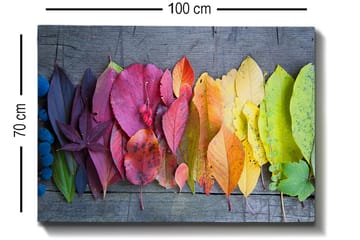 Lerretsbilde 70x100 cm - Fargerik samling av høstblader i forskjellige nyanser som viser naturens skjønnhet - Rød / Gul / Grønn - Interiør - Maleri & posters - Lerretsbilder