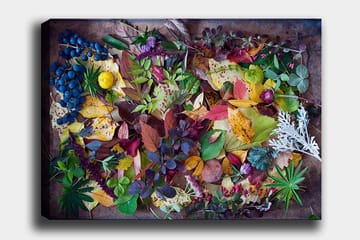 Lerretsbilde 70x100 cm - Fargerik samling av høstblader og bær - Grønn / Rød / Gul - Interiør - Maleri & posters - Lerretsbilder