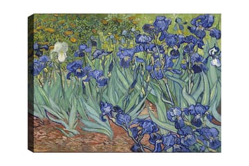 Lerretsbilde 70x100 cm - Fargerik samling av irisblomster i forskjellige blånyanser - Blå / Grønn / Hvit - Interiør - Maleri & posters - Lerretsbilder