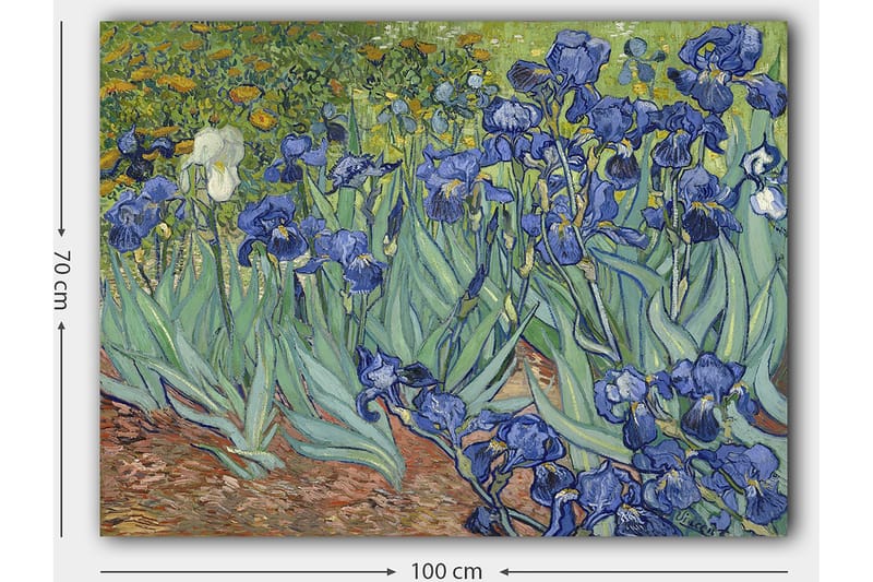 Lerretsbilde 70x100 cm - Fargerik samling av irisblomster i forskjellige blånyanser - Blå / Grønn / Hvit - Interiør - Maleri & posters - Lerretsbilder