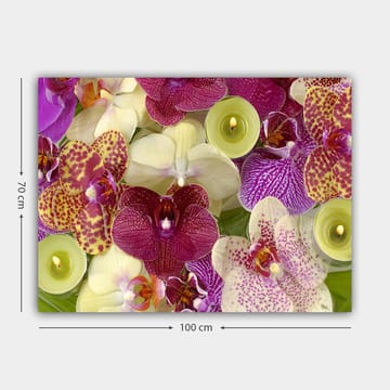 Lerretsbilde 70x100 cm - Fargerik samling av orkideer i forskjellige nyanser og former - Lilla / Hvit / Gul - Interiør - Maleri & posters - Lerretsbilder