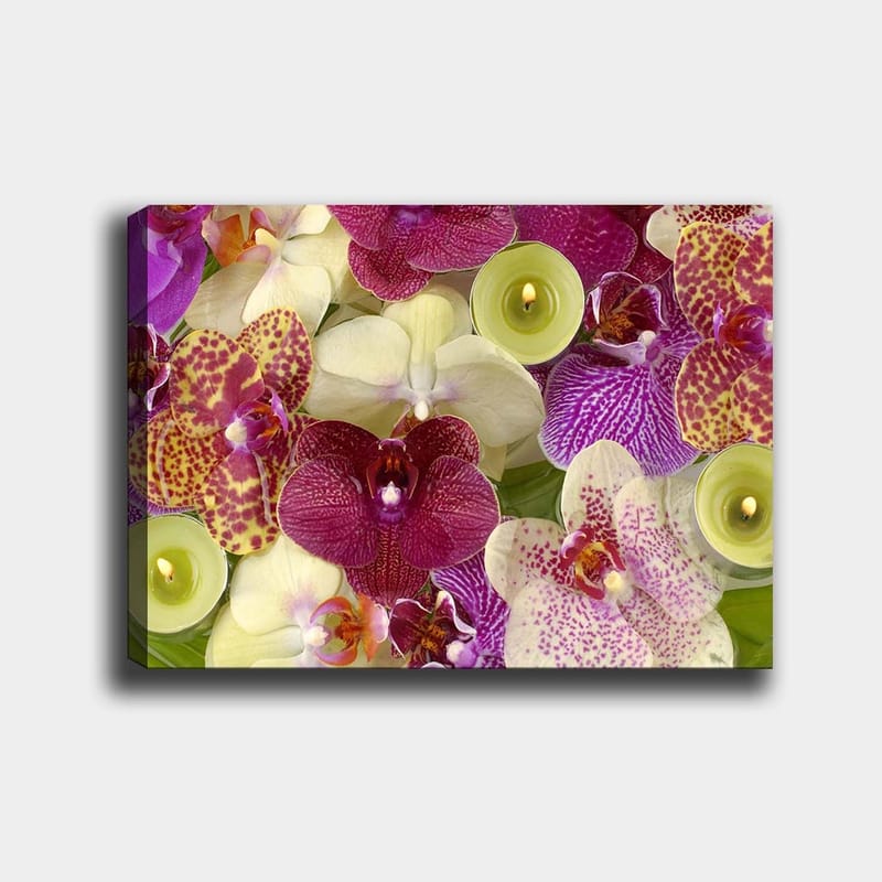 Lerretsbilde 70x100 cm - Fargerik samling av orkideer i forskjellige nyanser og former, Lilla / Hvit / Gul