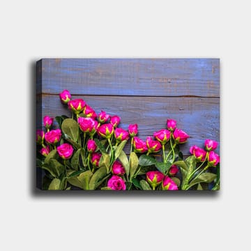 Lerretsbilde 70x100 cm - Fargerik samling av rosa roser mot en blå trebakgrunn - Rosa / Grønn / Blå - Interiør - Maleri & posters - Lerretsbilder