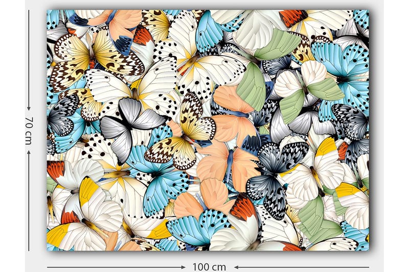 Lerretsbilde 70x100 cm - Fargerik samling av sommerfugler i forskjellige mønstre og farger - Blå / Hvit / Oransje - Interiør - Maleri & posters - Lerretsbilder