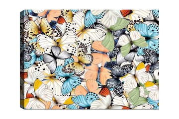 Lerretsbilde 70x100 cm - Fargerik samling av sommerfugler i forskjellige mønstre og farger - Blå / Hvit / Oransje - Interiør - Maleri & posters - Lerretsbilder
