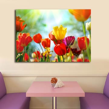 Lerretsbilde 70x100 cm - Fargerik samling av tulipaner i forskjellige nyanser som blomstrer i lyset - Rød / Gul / Lilla - Interiør - Maleri & posters - Lerretsbilder