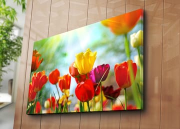 Lerretsbilde 70x100 cm - Fargerik samling av tulipaner i forskjellige nyanser som blomstrer i lyset - Rød / Gul / Lilla - Interiør - Maleri & posters - Lerretsbilder