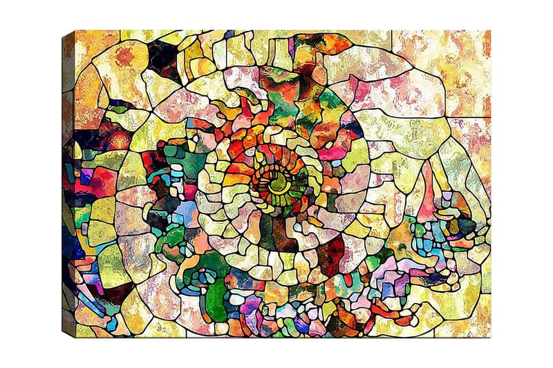 Lerretsbilde 70x100 cm - Fargerik skjell med geometriske mønstre og spiraldetaljer, Grønn / Rød / Gul