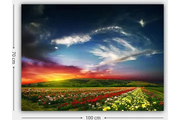 Lerretsbilde 70x100 cm - Fargerik solnedgang over et blomsterfelt med varierende blomster i forgrunnen - Rød / Gul / Grønn - Interiør - Maleri & posters - Lerretsbilder