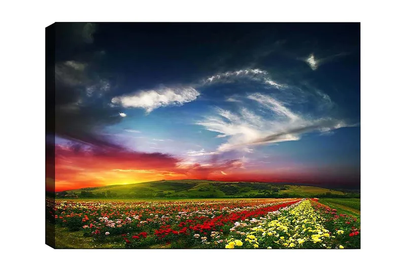 Lerretsbilde 70x100 cm - Fargerik solnedgang over et blomsterfelt med varierende blomster i forgrunnen, Rød / Gul / Grønn