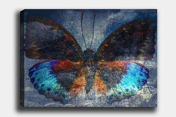 Lerretsbilde 70x100 cm - Fargerik sommerfugl med detaljerte vinger i blått og oransje - Blå / Oransje / Svart - Interiør - Maleri & posters - Lerretsbilder