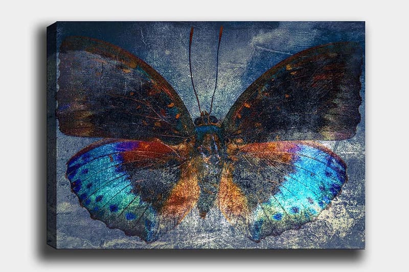 Lerretsbilde 70x100 cm - Fargerik sommerfugl med detaljerte vinger i blått og oransje, Blå / Oransje / Svart