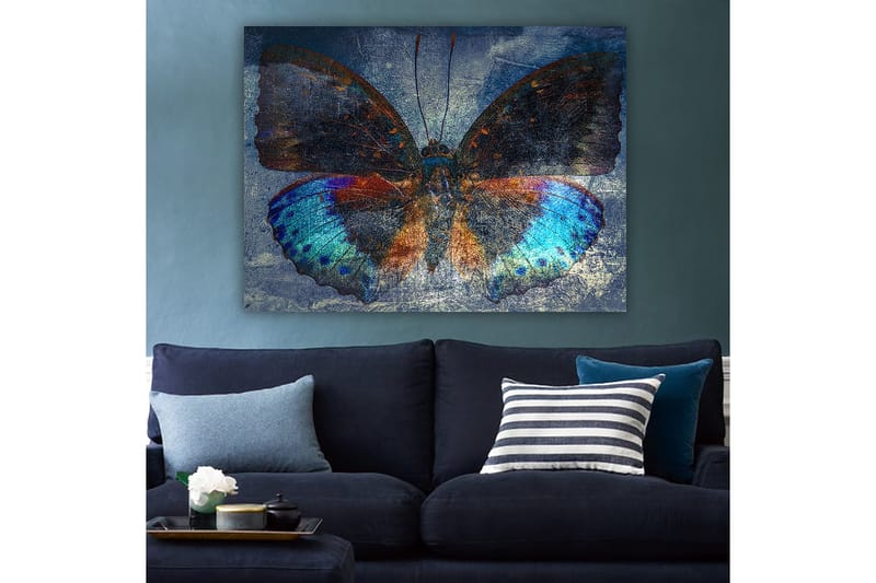 Lerretsbilde 70x100 cm - Fargerik sommerfugl med detaljerte vinger i blått og oransje - Blå / Oransje / Svart - Interiør - Maleri & posters - Lerretsbilder