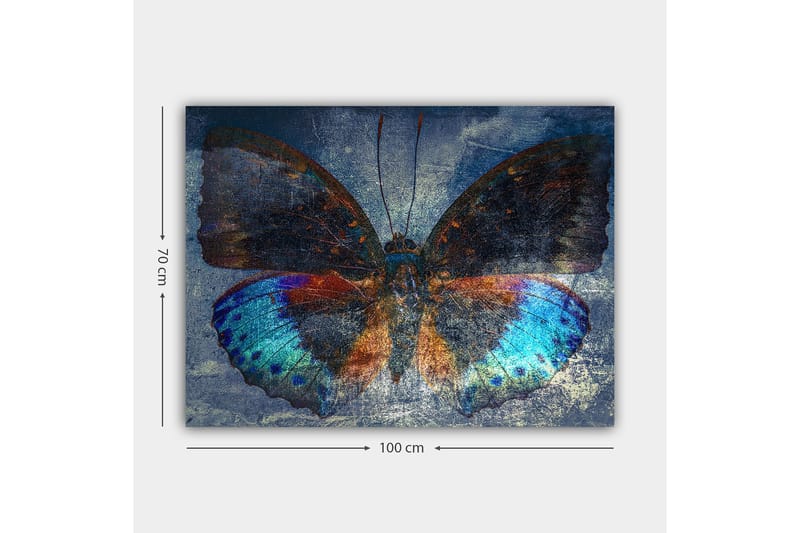 Lerretsbilde 70x100 cm - Fargerik sommerfugl med detaljerte vinger i blått og oransje - Blå / Oransje / Svart - Interiør - Maleri & posters - Lerretsbilder