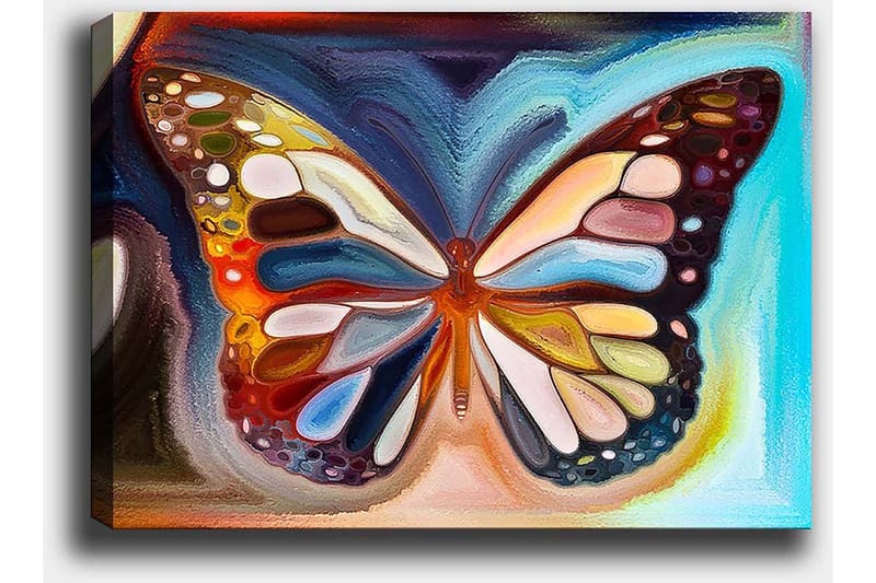 Lerretsbilde 70x100 cm - Fargerik sommerfugl med detaljerte vinger i forskjellige nyanser - Oransje / Blå / Hvit - Interiør - Maleri & posters - Lerretsbilder