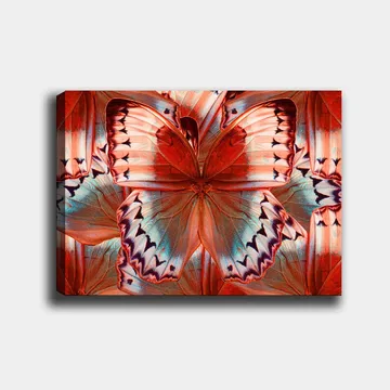 Lerretsbilde 70x100 cm - Fargerik sommerfugl med detaljerte vinger i røde og blå fargetoner - Rød / Blå - Interiør - Maleri & posters - Lerretsbilder