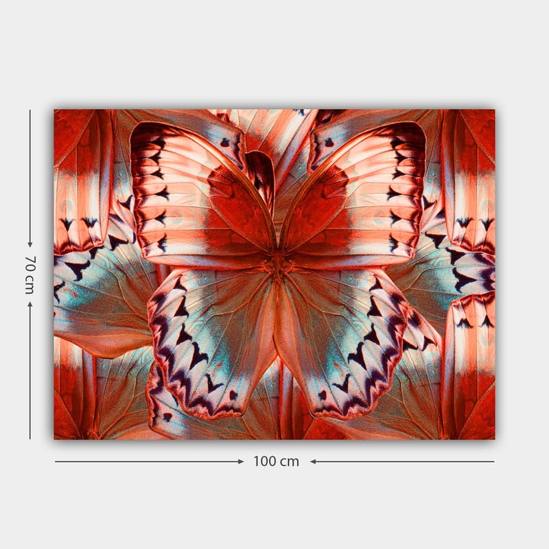 Lerretsbilde 70x100 cm - Fargerik sommerfugl med detaljerte vinger i røde og blå fargetoner - Rød / Blå - Interiør - Maleri & posters - Lerretsbilder