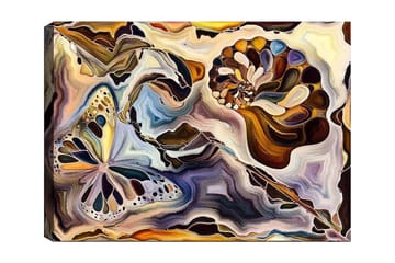 Lerretsbilde 70x100 cm - Fargerik sommerfugl og skjell som flyter i en abstrakt komposisjon - Gull / Blå / Brun - Interiør - Maleri & posters - Lerretsbilder