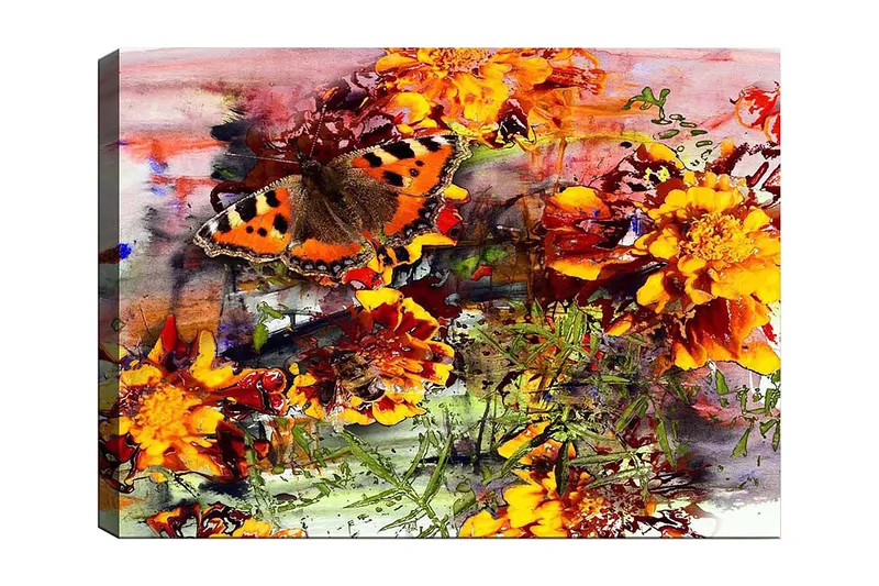 Lerretsbilde 70x100 cm - Fargerik sommerfugl som sitter p å blomster i en livlig hage, Oransje / Gul / Grønn