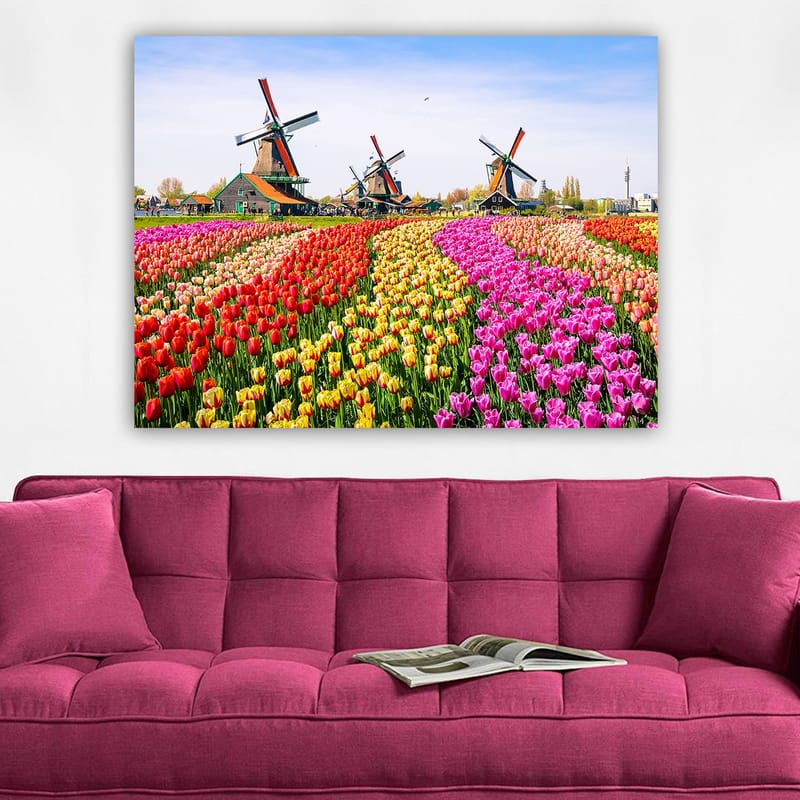 Lerretsbilde 70x100 cm - Fargerik tulipanåker med vindmølle i bakgrunnen - Rød / Gul / Rosa - Interiør - Maleri & posters - Lerretsbilder