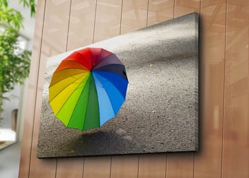 Lerretsbilde 70x100 cm - Fargerik paraply stående på en grå overflate - Rød / Grønn / Blå - Interiør - Maleri & posters - Lerretsbilder