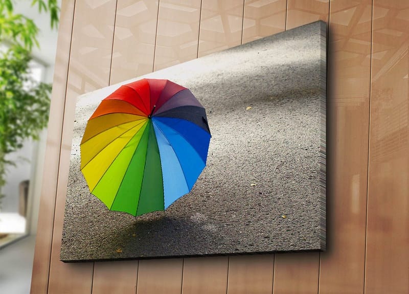 Lerretsbilde 70x100 cm - Fargerik paraply stående på en grå overflate - Rød / Grønn / Blå - Interiør - Maleri & posters - Lerretsbilder