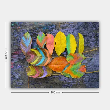 Lerretsbilde 70x100 cm - Fargerike blader arrangert på en mørk bakgrunn - Gul / Oransje / Grønn - Interiør - Maleri & posters - Lerretsbilder