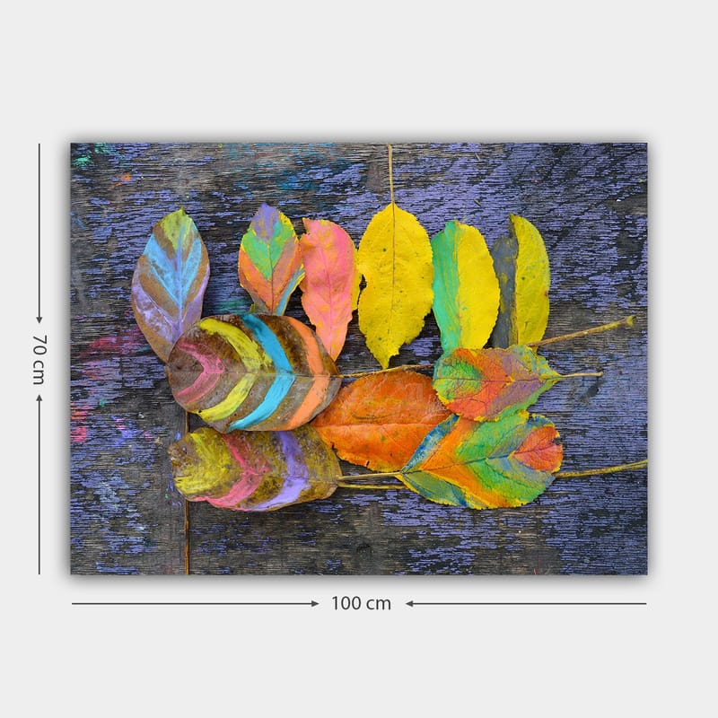 Lerretsbilde 70x100 cm - Fargerike blader arrangert på en mørk bakgrunn - Gul / Oransje / Grønn - Interiør - Maleri & posters - Lerretsbilder