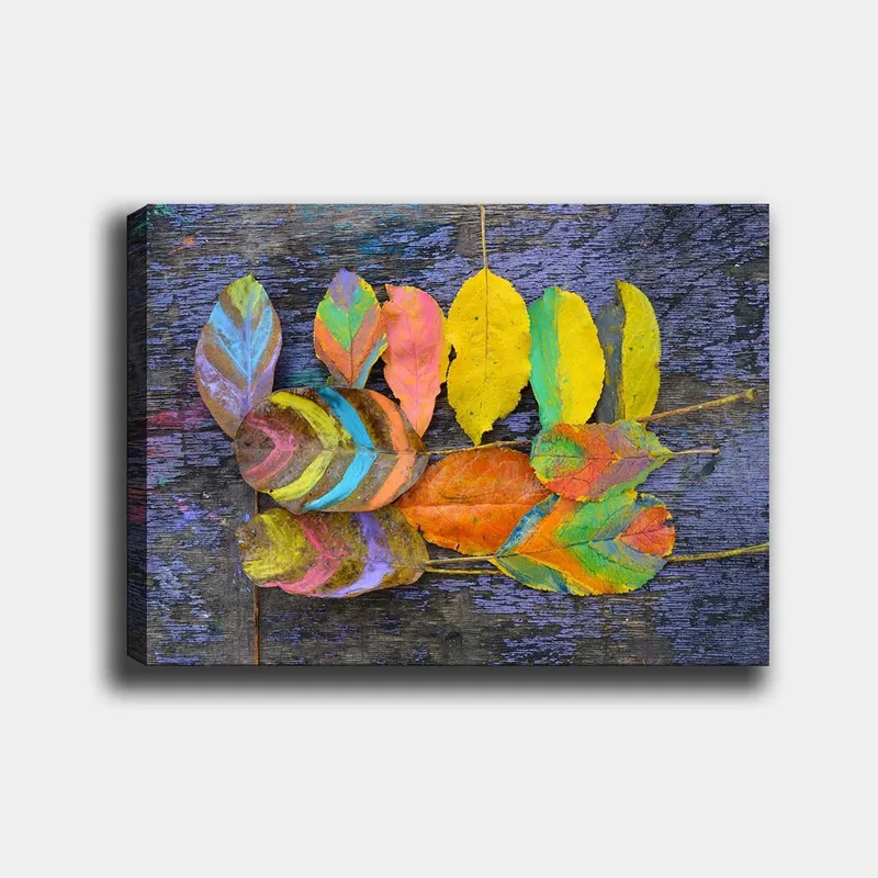 Lerretsbilde 70x100 cm - Fargerike blader arrangert på en mørk bakgrunn, Gul / Oransje / Grønn